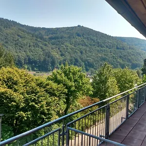 Hotel Zum Neckartal, Heidelberg